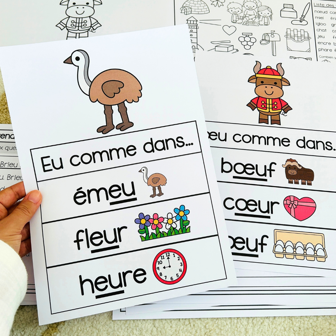Le son “eu/œu" (lecture + exercices)