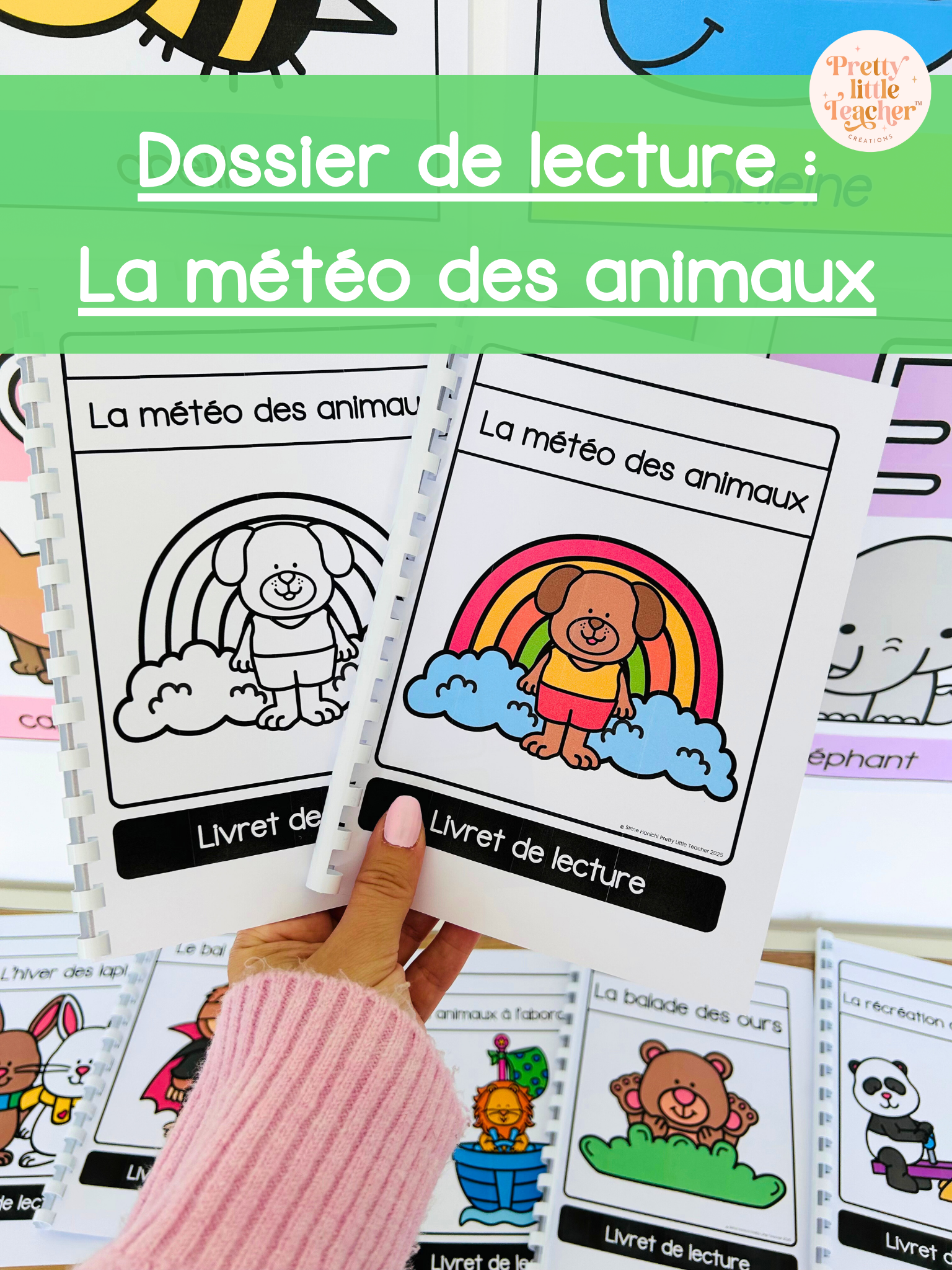 La météo des animaux (lecture)