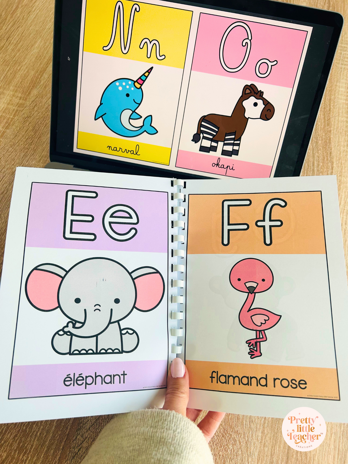 Abécédaire des animaux (alphabet) 🎁
