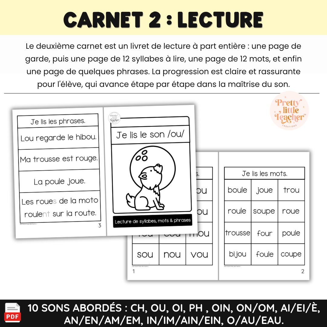 Apprendre à lire les syllabes, mots et phrases (20 livrets de sons composés)