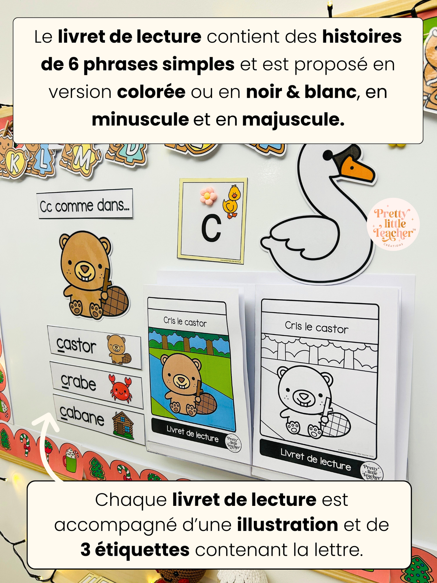 La lettre Cc (lecture + exercices)