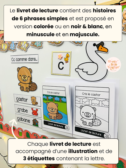 La lettre Cc (lecture + exercices)