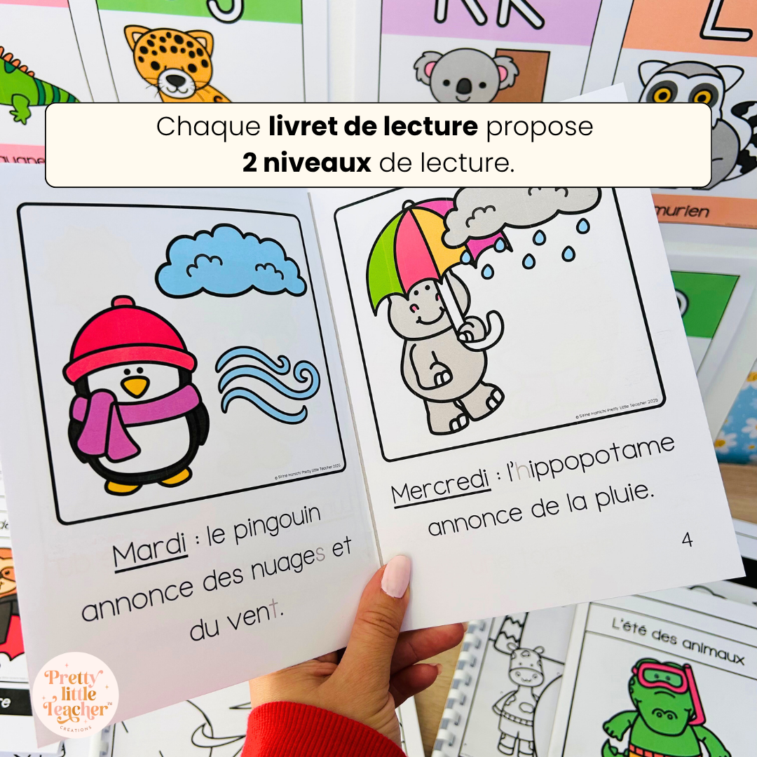 Pack pour les bons lecteurs : 14 livrets de lecture sur les animaux + exercices
