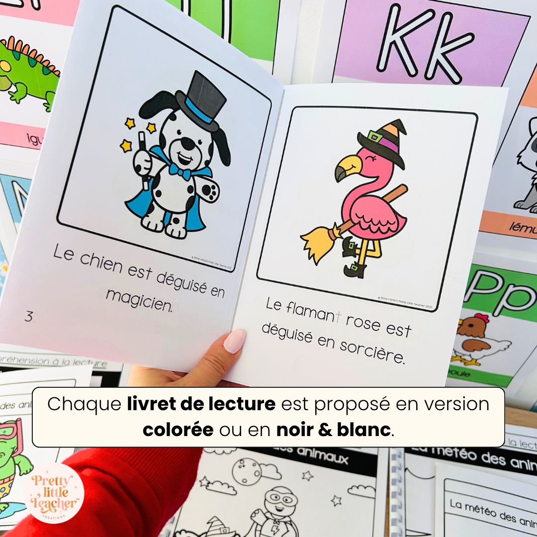 Pack pour les bons lecteurs : 14 livrets de lecture sur les animaux + exercices