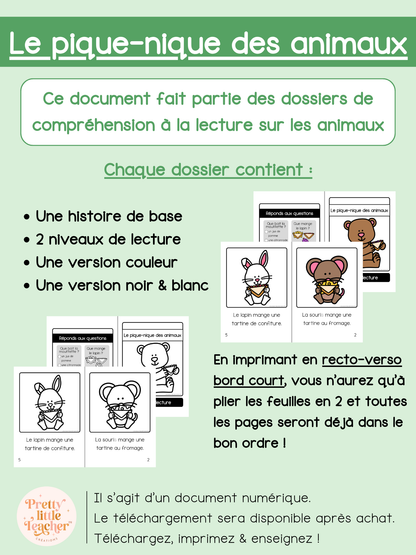 Le pique-nique des animaux (lecture)