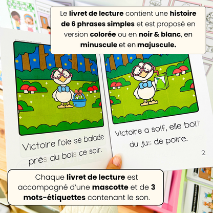 Le son "oi" (lecture + exercices)