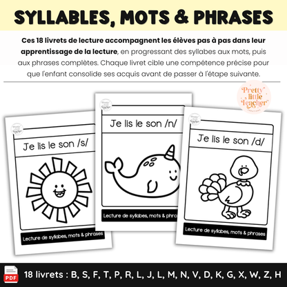 Apprendre à lire les syllabes, mots et phrases (18 livrets de sons simples)