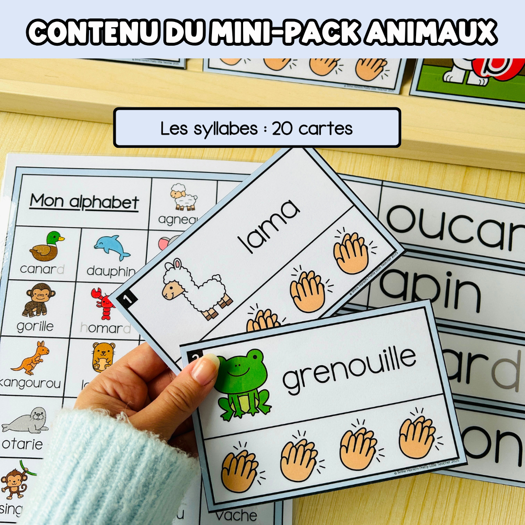 Tous les Mini Packs 1 Français pour toute l'année