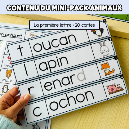 Tous les Mini Packs 1 Français pour toute l'année
