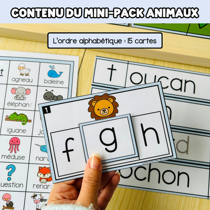 Tous les Mini Packs 1 Français pour toute l'année