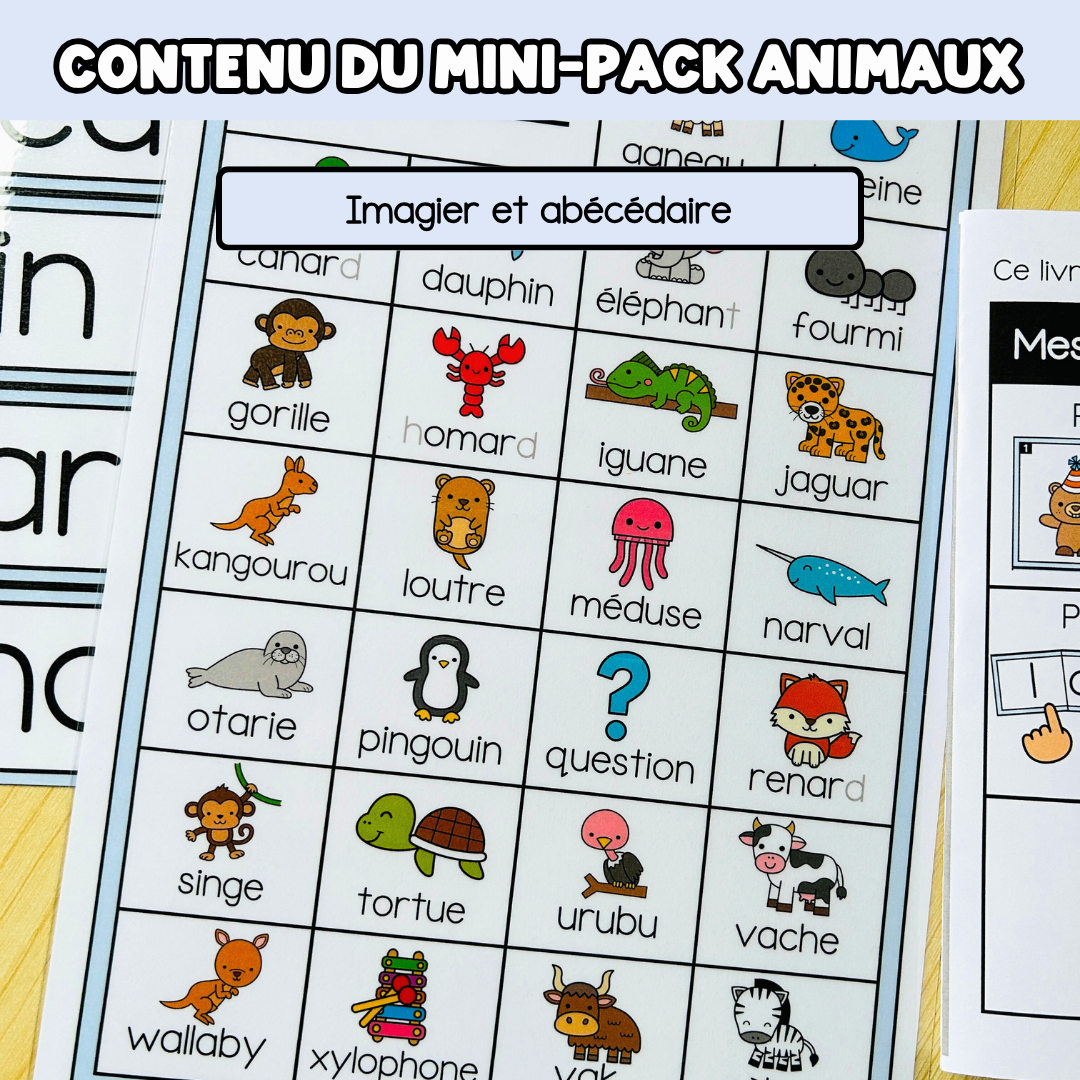 Tous les Mini Packs 1 Français pour toute l'année