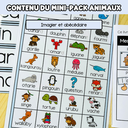 Tous les Mini Packs 1 Français pour toute l'année