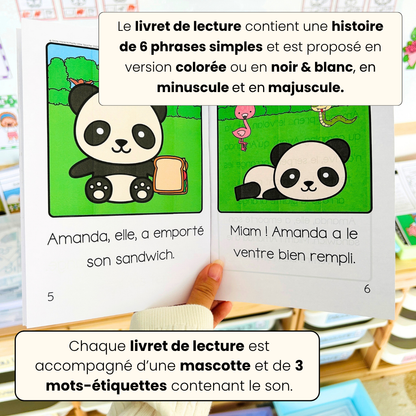 Le son an/am/en/em (lecture + exercices)