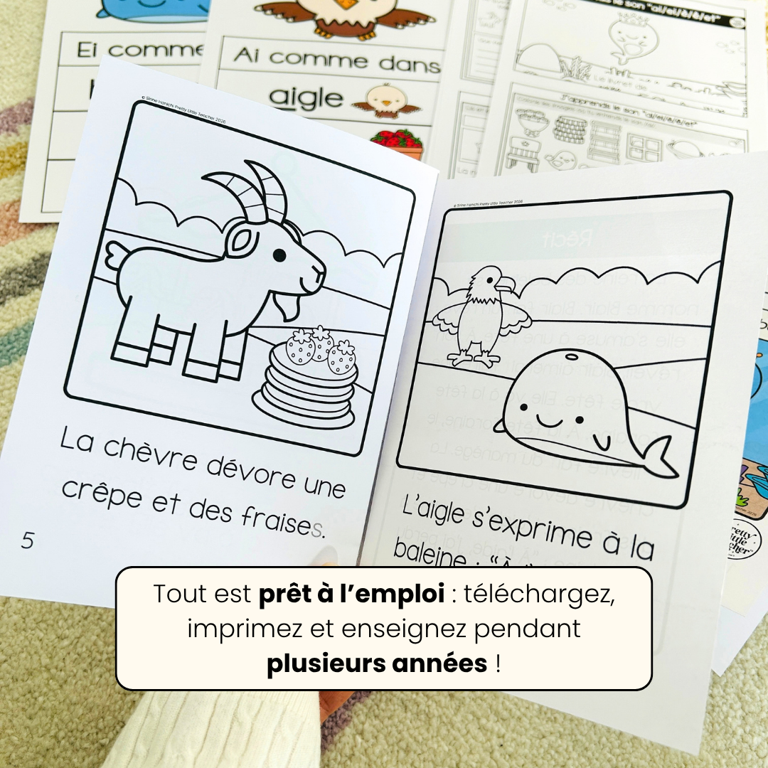Le son “ai/ei/è/ê/et” (lecture + exercices)