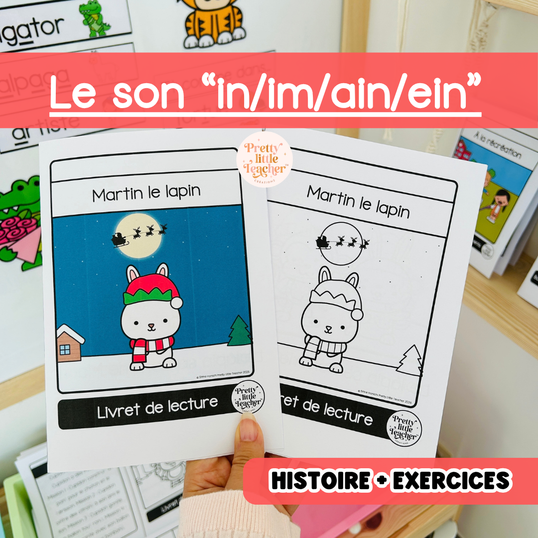 Le son “in/im/ain/ein” (lecture + exercices)