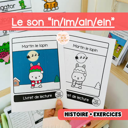 Le son “in/im/ain/ein” (lecture + exercices)