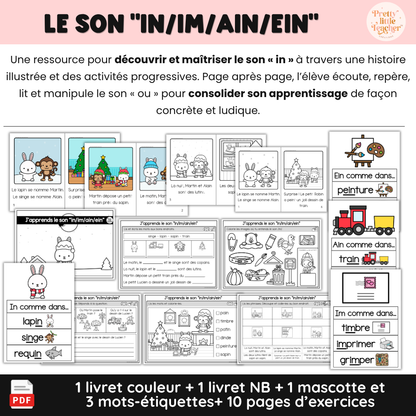 Le son “in/im/ain/ein” (lecture + exercices)