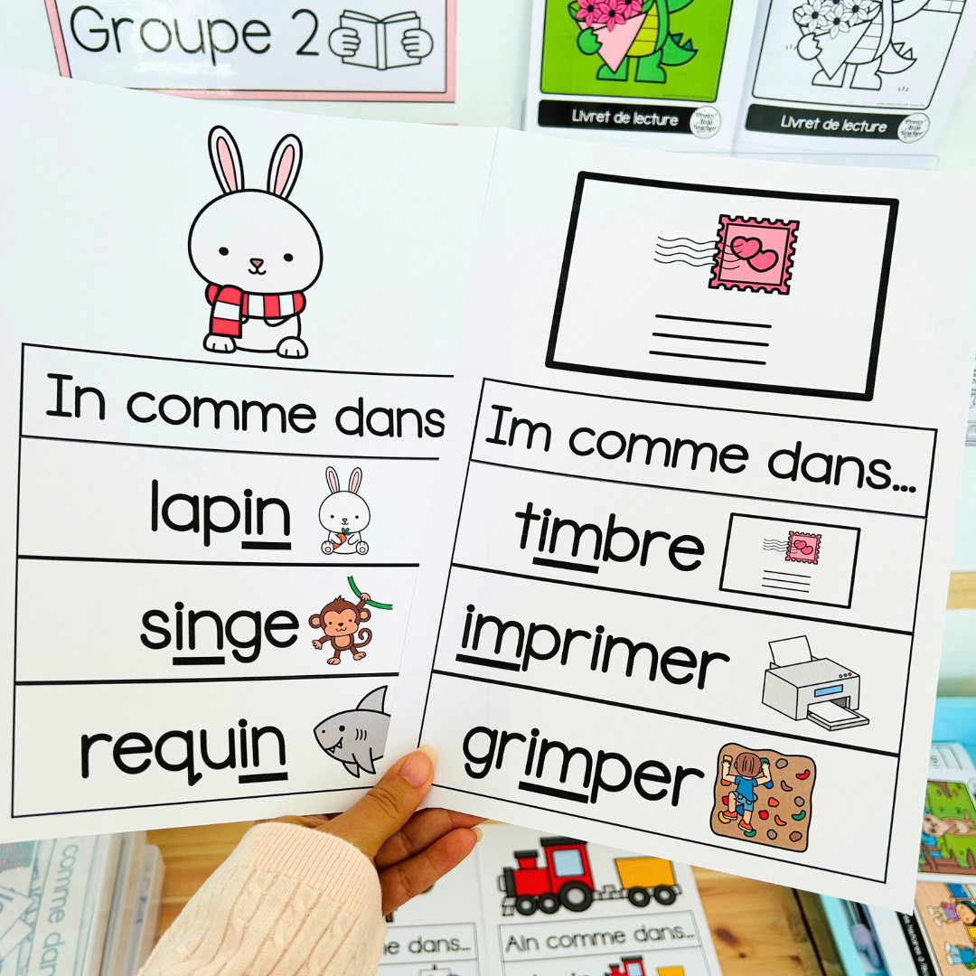 Le son “in/im/ain/ein” (lecture + exercices)