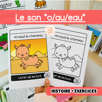 Le son “o/au/eau" (lecture + exercices)