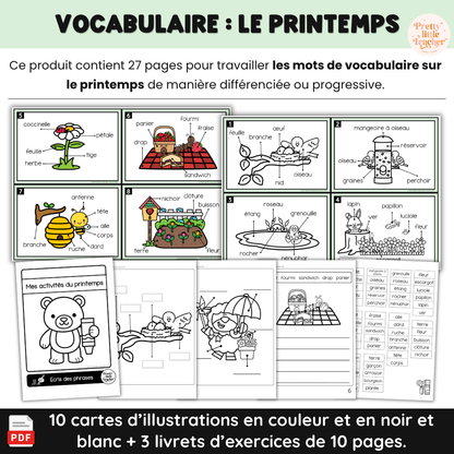 Activités de vocabulaire sur le thème du printemps
