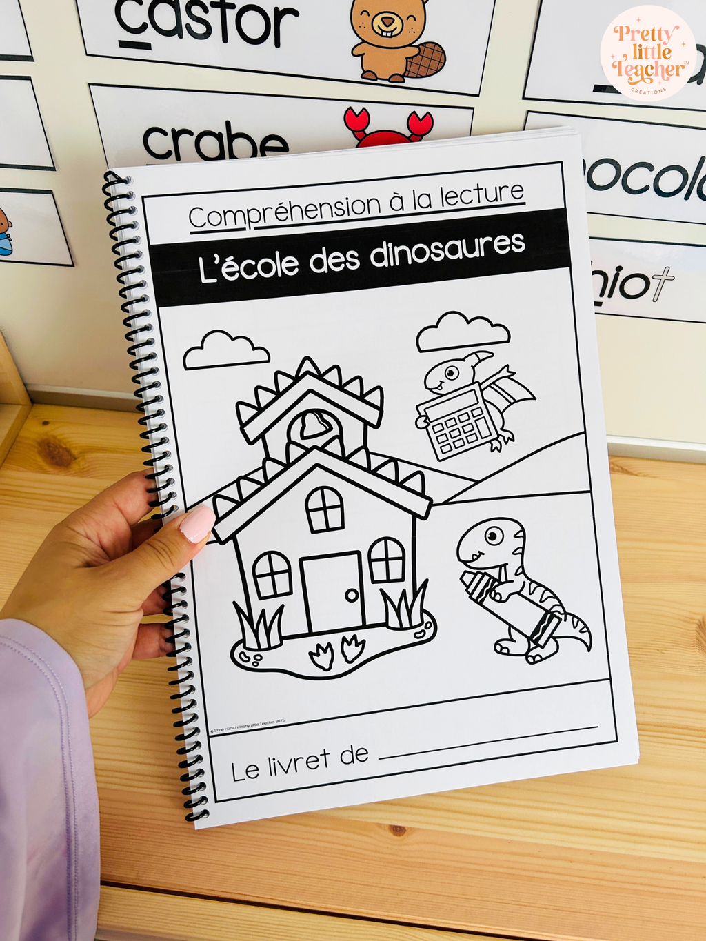 Lecture : l'école des dinosaures