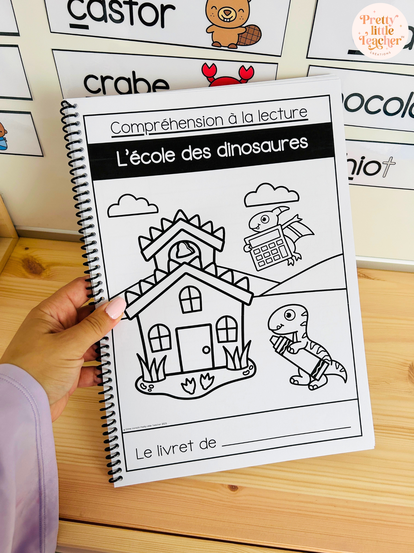 Lecture : l'école des dinosaures