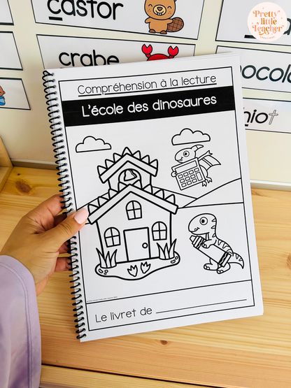 Lecture : l'école des dinosaures