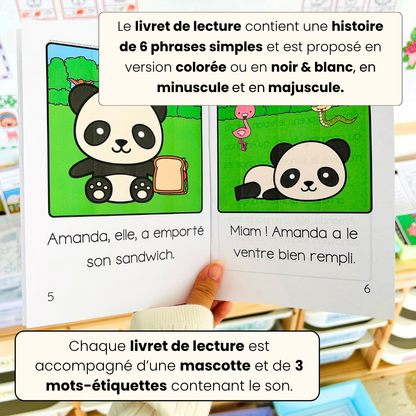 Pack Sons composés fréquents : 9 livrets de lecture + exercices