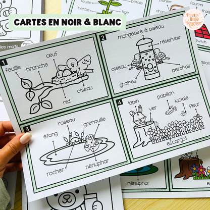 Activités de vocabulaire sur le thème du printemps