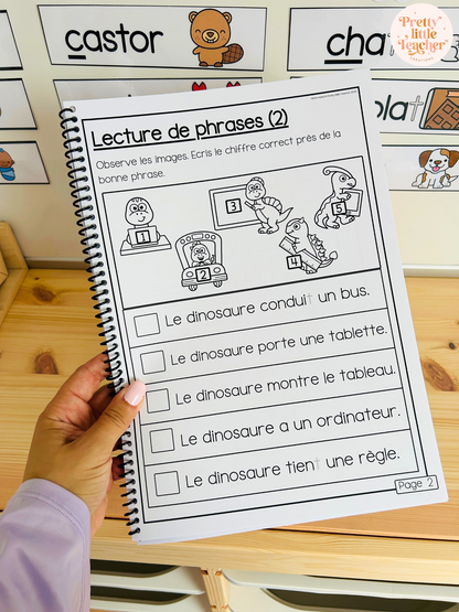 Lecture : l'école des dinosaures