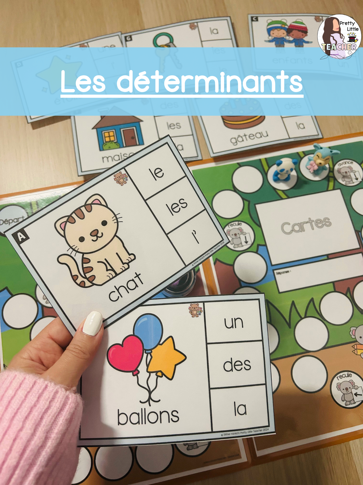 Les déterminants (pack de 15 activités)