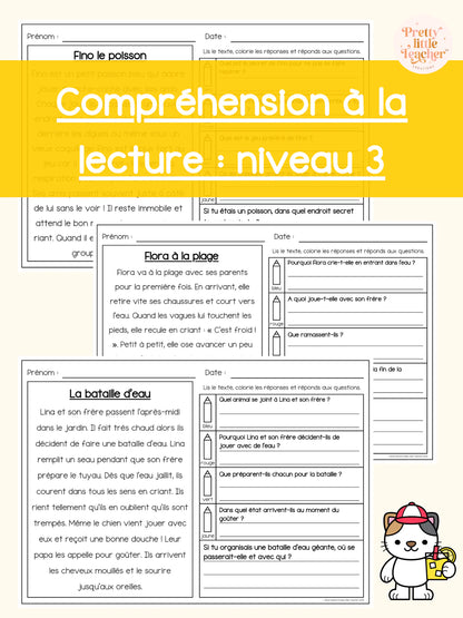 Pack annuel : compréhensions à la lecture niveau 3