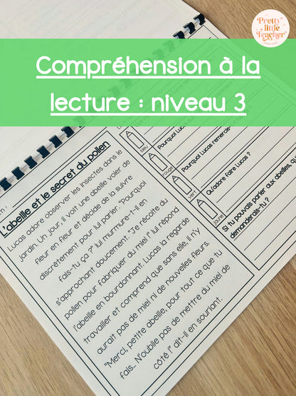 Pack annuel : compréhensions à la lecture niveau 3
